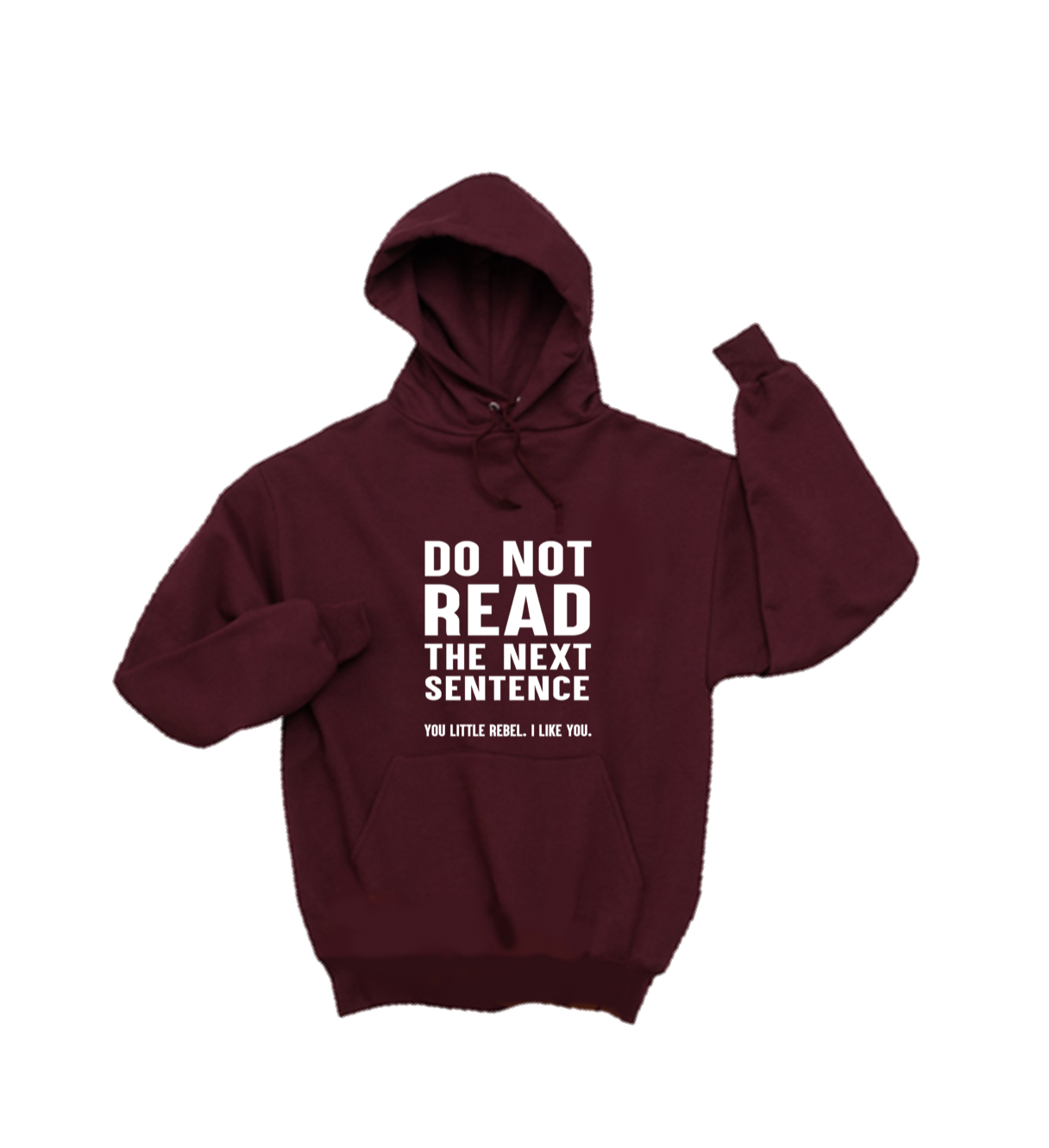 DO NOT READ THE NEXT SENTENCE...