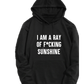 I AM A F*CKING RAY OF SUNSHINE